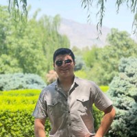 Ali Abbasi