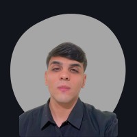 Vitor Hugo Borges De Santana