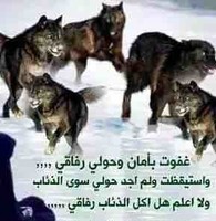 Khaled Shaban