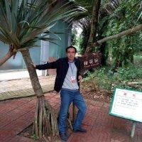 丁学平