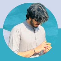 Muhammad Maib Shabbir