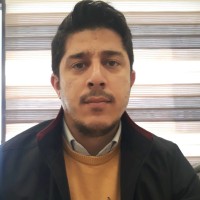 Amir Sari