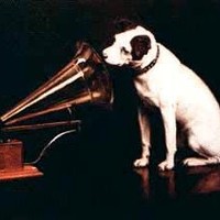 Pavlov AndtheDogs
