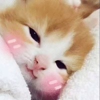宁亚男