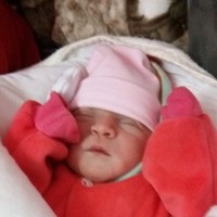 Djalal Djamel