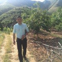李卫锋