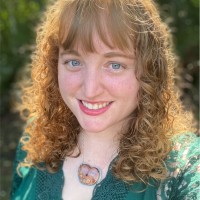Allison Reinbolt, Gisp