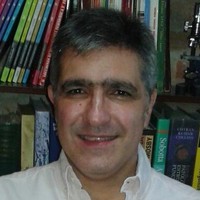 Marcelo Fernández