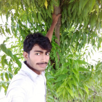 Sanwal Vohra
