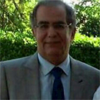Hadi Heidari