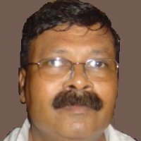 Subhrendu Majumdar