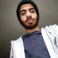 Aladdin Elnozahy