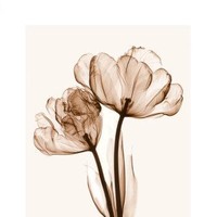 ICE Flower