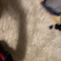 Www Www