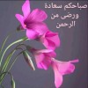 Emad Omara