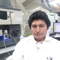 Edmer Salinas Castromonte