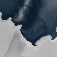حصه فهد الحسن