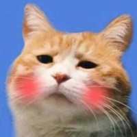 王旺旺