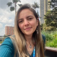 Diana Carolina Torres Londoño