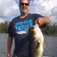 David Rayburn