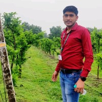 Rishabh Tomar