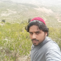 Mohammad Israr