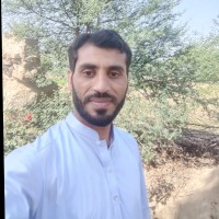 M Amjad