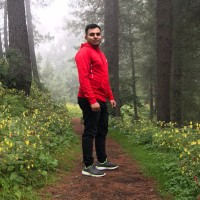 Asad Naveed