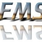 Financial Management Services