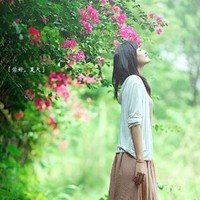 侯芹芹