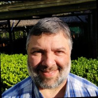 Mauricio Ocampo