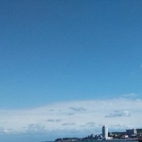 公绪军
