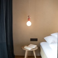 Biohotel Schwanen