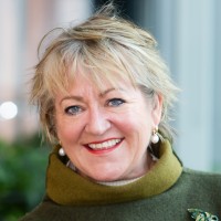 Breda Fox