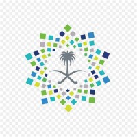 Anas Abu Sabah, Msc, Pmp