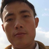 文元树