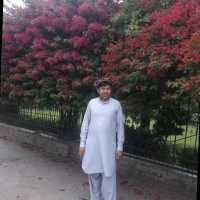 Noorullah Shafiei