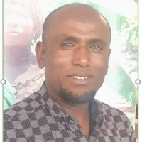 Nura Aman