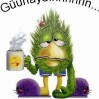 Semiha Meric Aslan