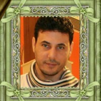 amir elhady
