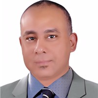 Walid Ali