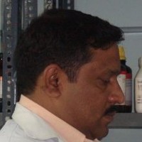 Safi Vohra