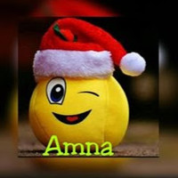 Amna S.