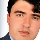 Mohammad Hamid Mohibi