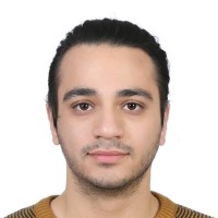 Amir Mohammad Erfan