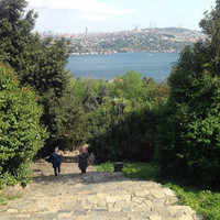 Canan Cürebal karlı