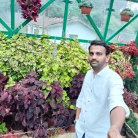 Manjunath sr