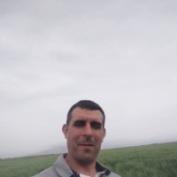 Zabat Habib habib
