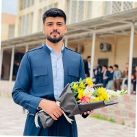Hamza Majroom