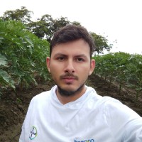 Armando Chinchilla